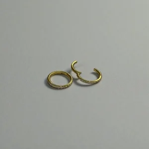 Glittering Charms Zircons Hoops Ear