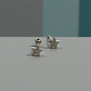 Zircon Star Ear Studs Silver
