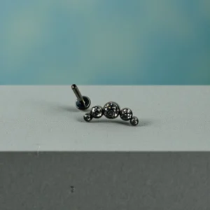 Crystal Clear Cluster Flatback Ear Stud