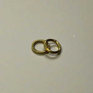 Plain Round Hoop Ear Clickers