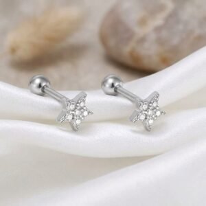 Zircon Star Ear Stud